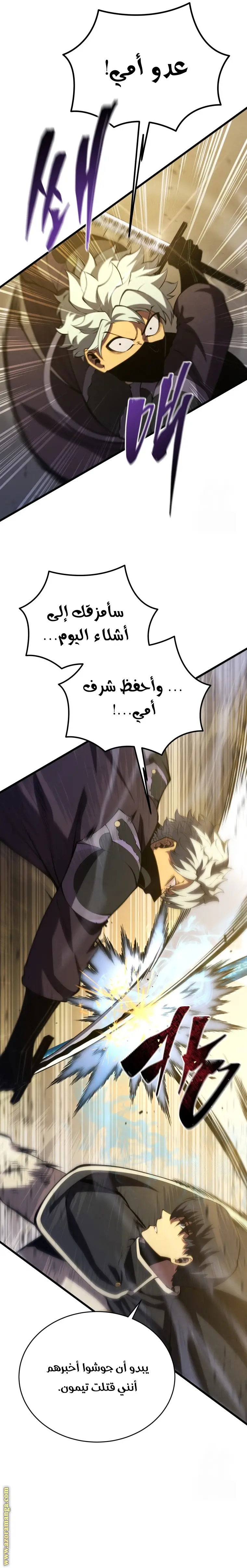 الصفحة 17