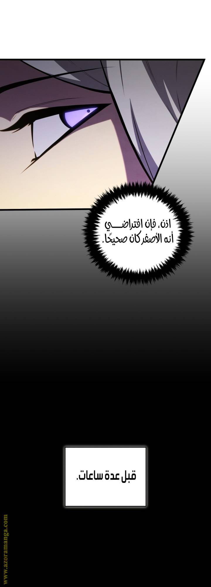 الصفحة 43