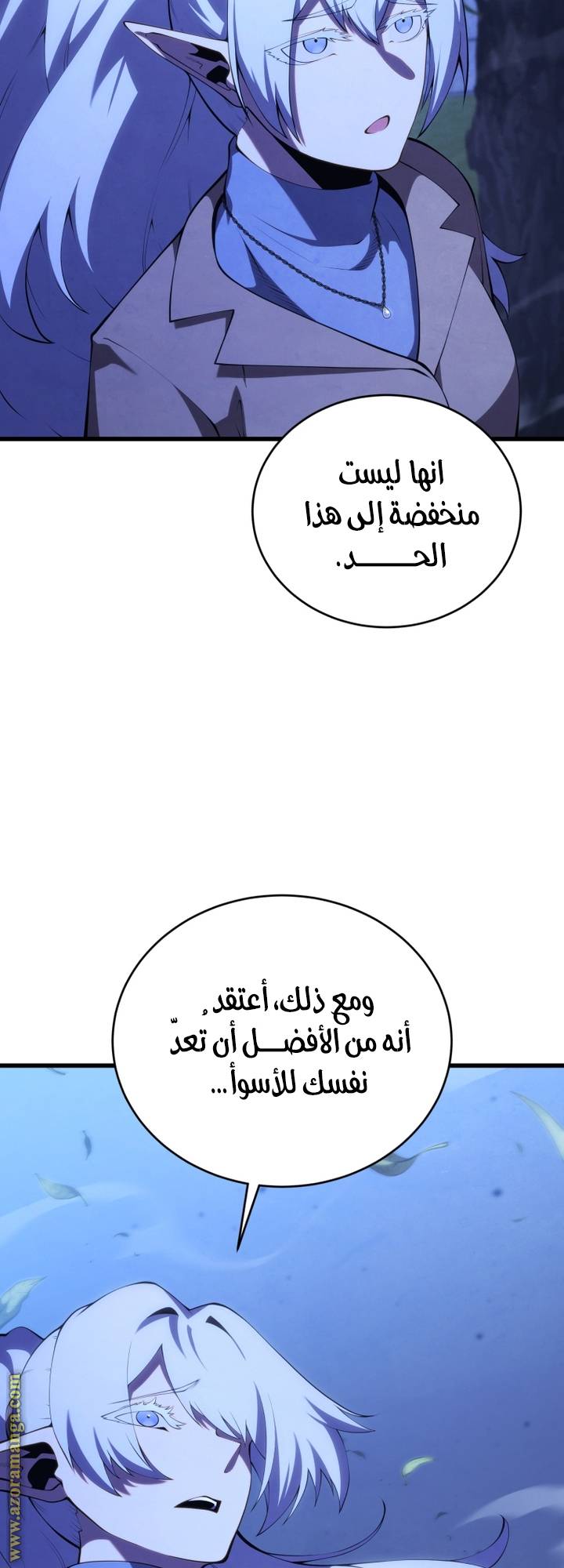 الصفحة 13