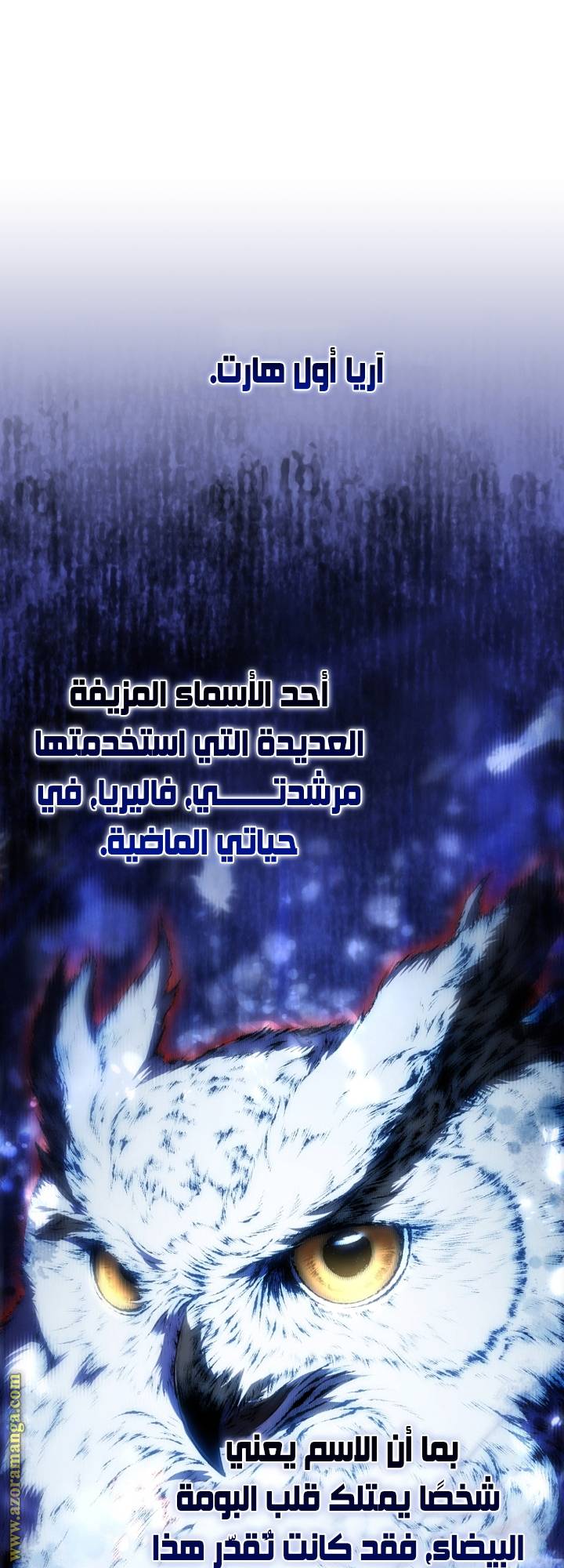 الصفحة 49