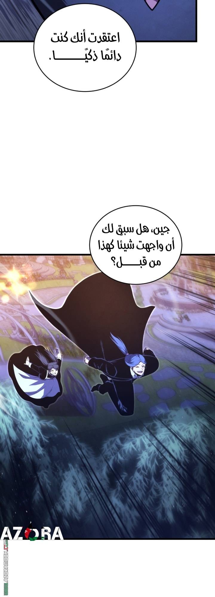 الصفحة 13