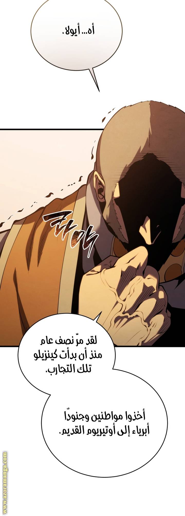 الصفحة 17