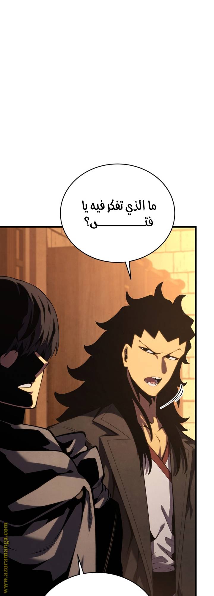 الصفحة 29