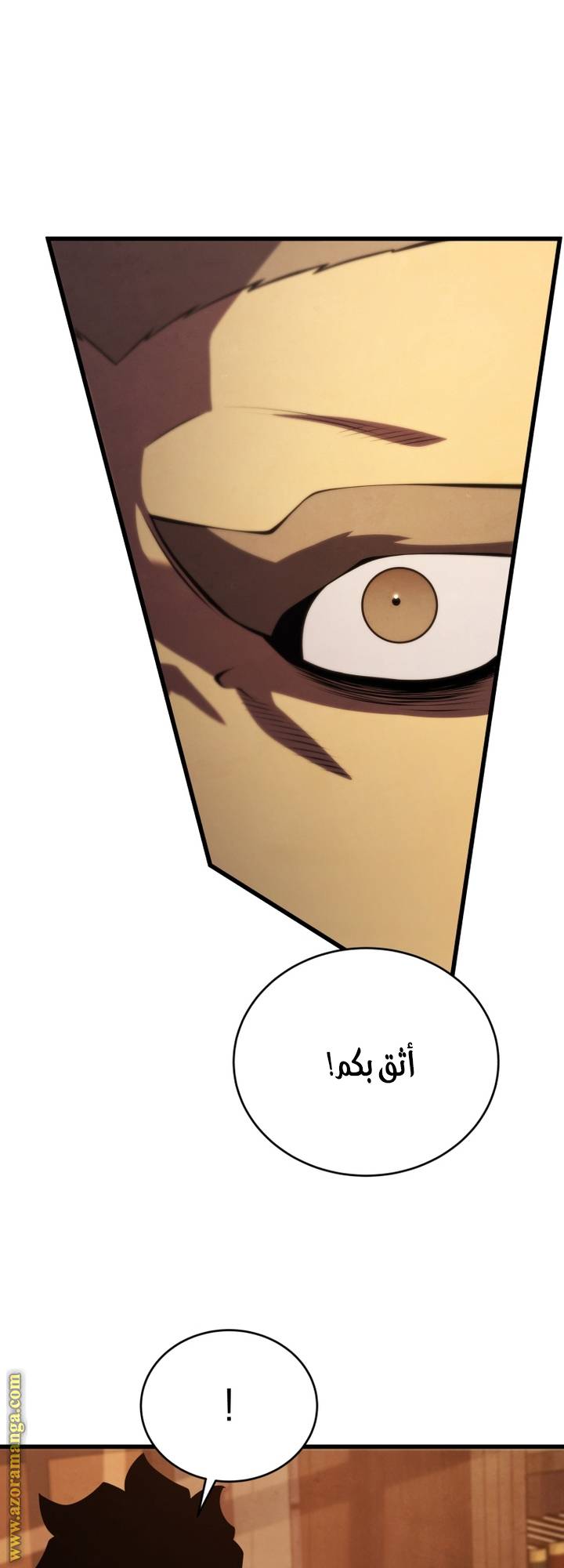 الصفحة 35