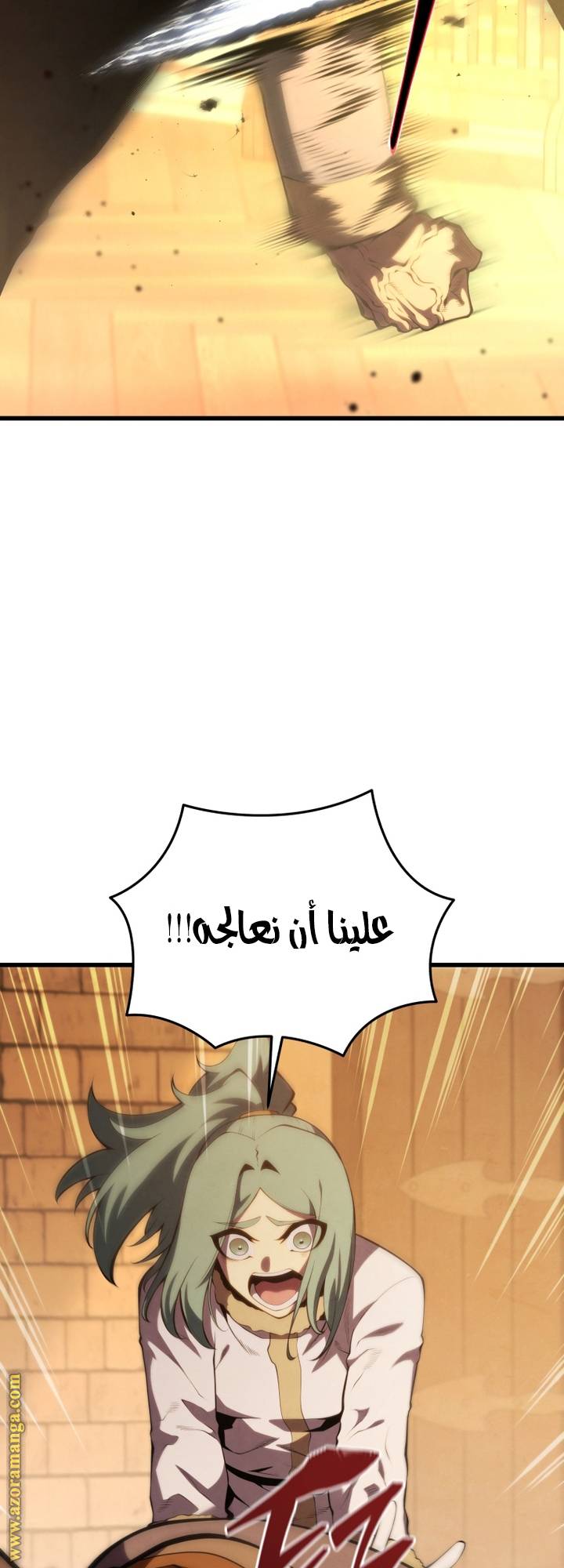 الصفحة 47