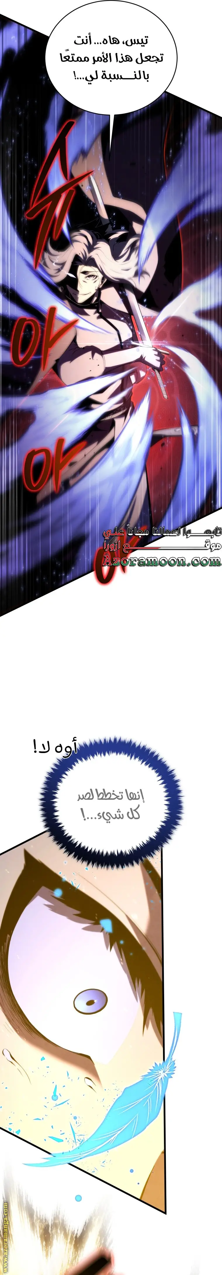 الصفحة 13