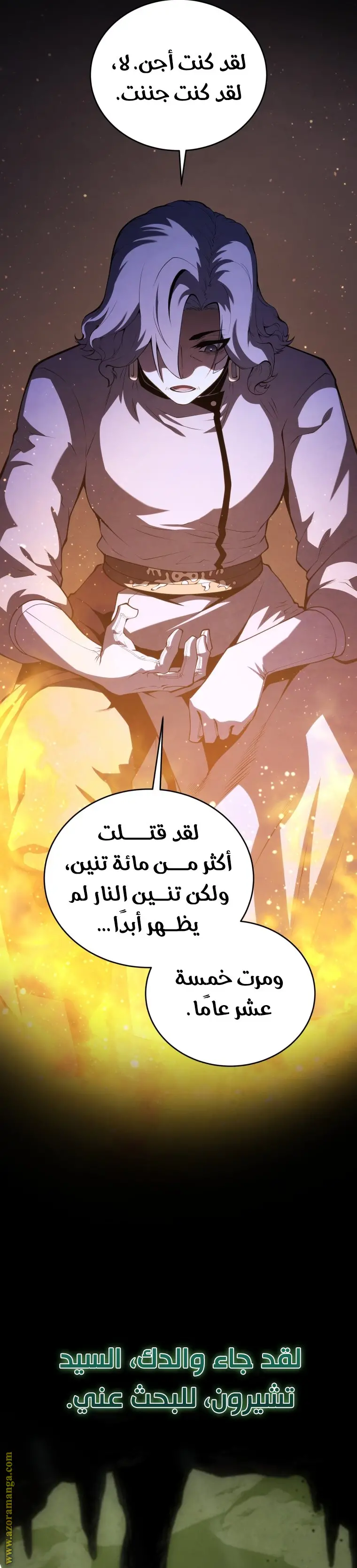 الصفحة 31