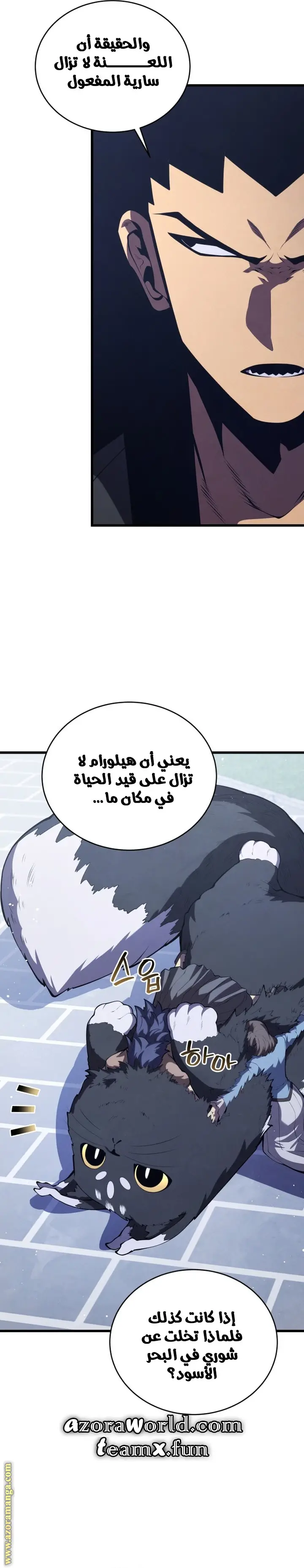 الصفحة 12