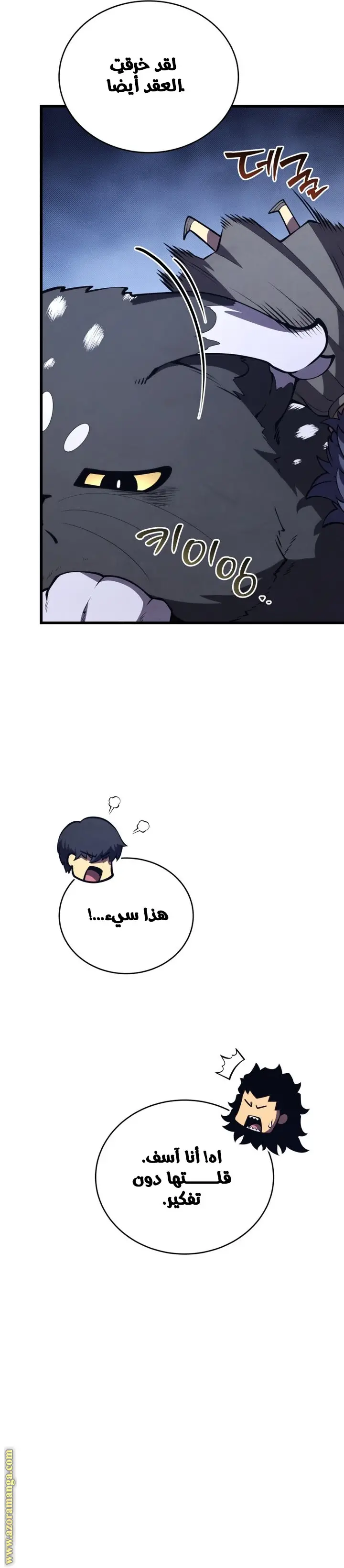 الصفحة 13