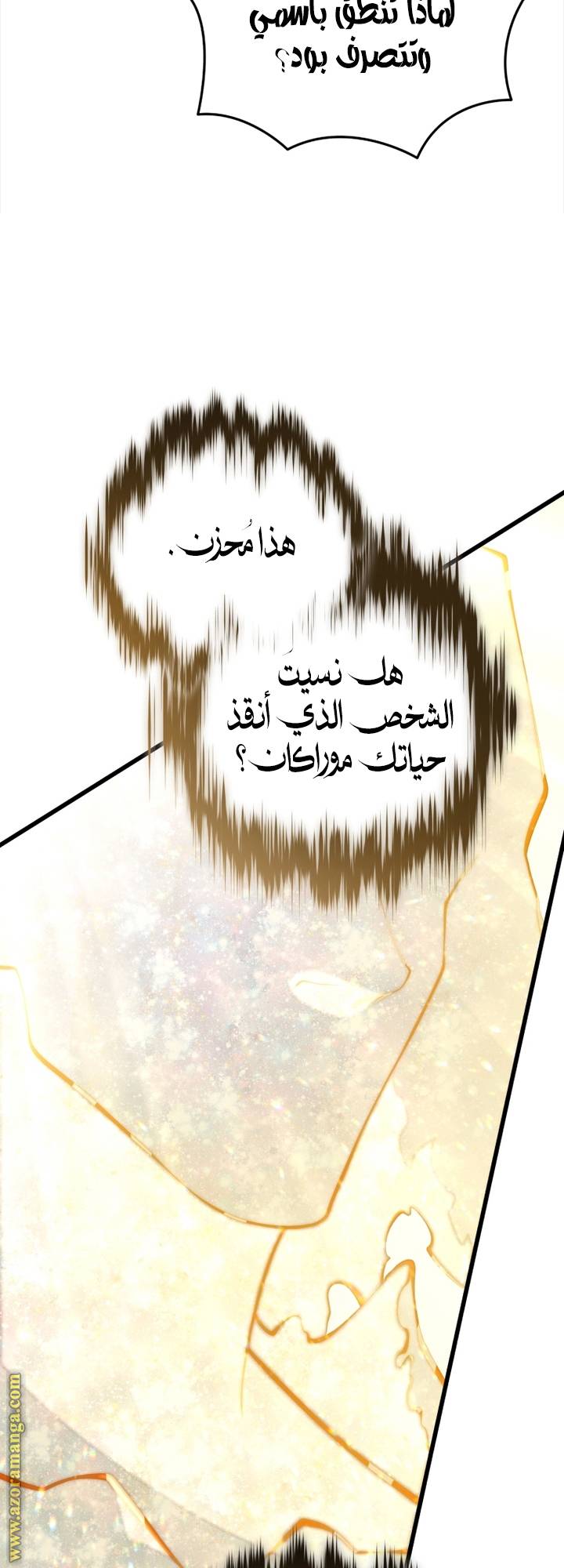 الصفحة 46