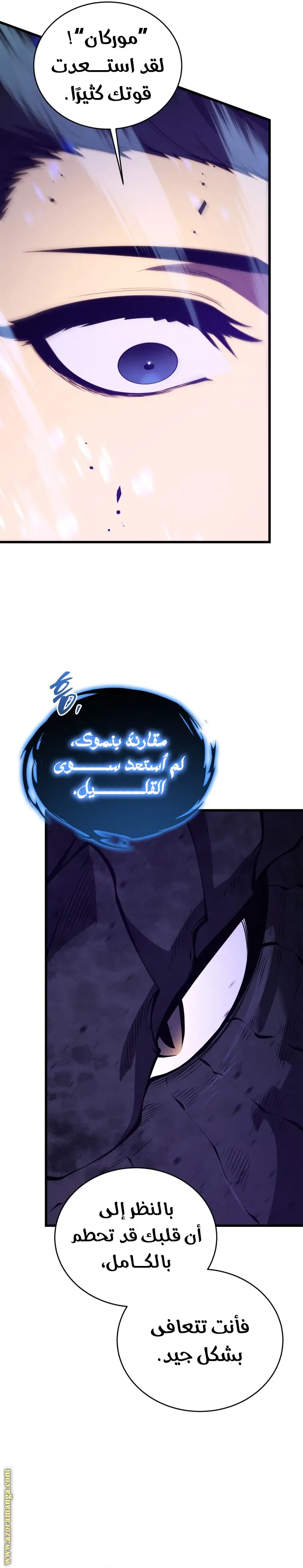الصفحة 17