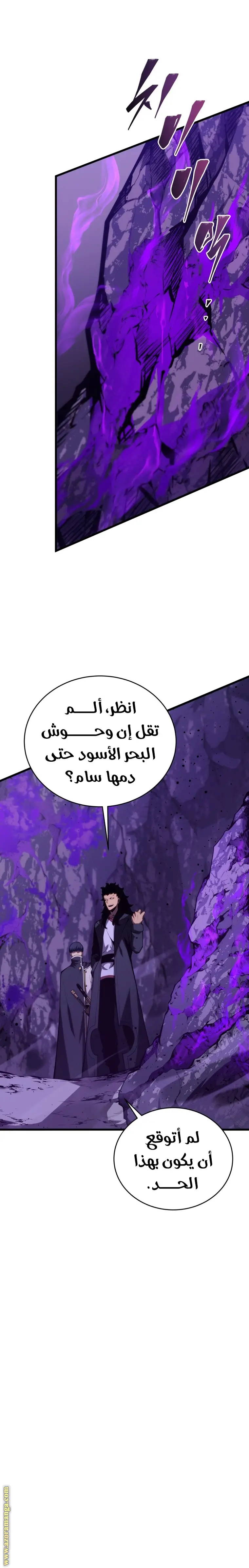 الصفحة 29