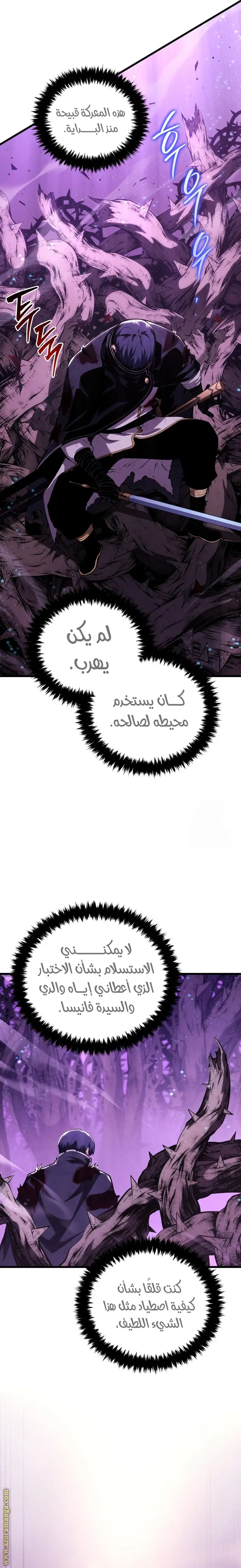 الصفحة 13