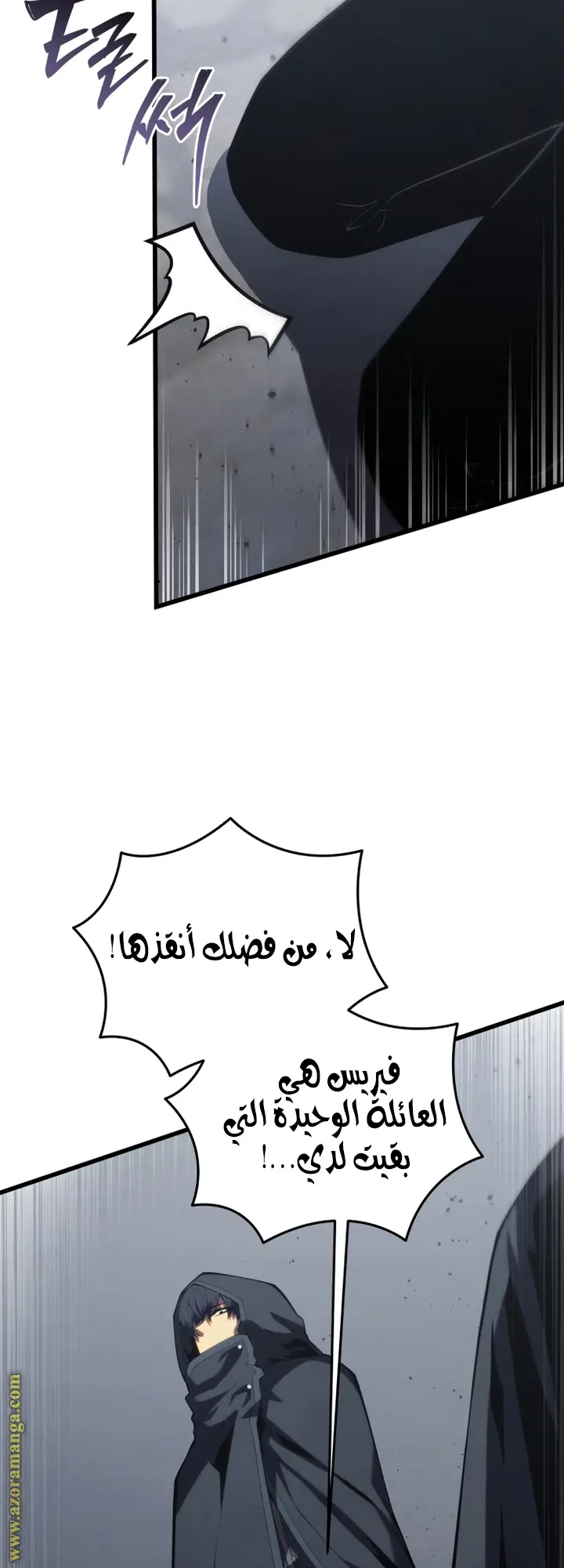 الصفحة 21