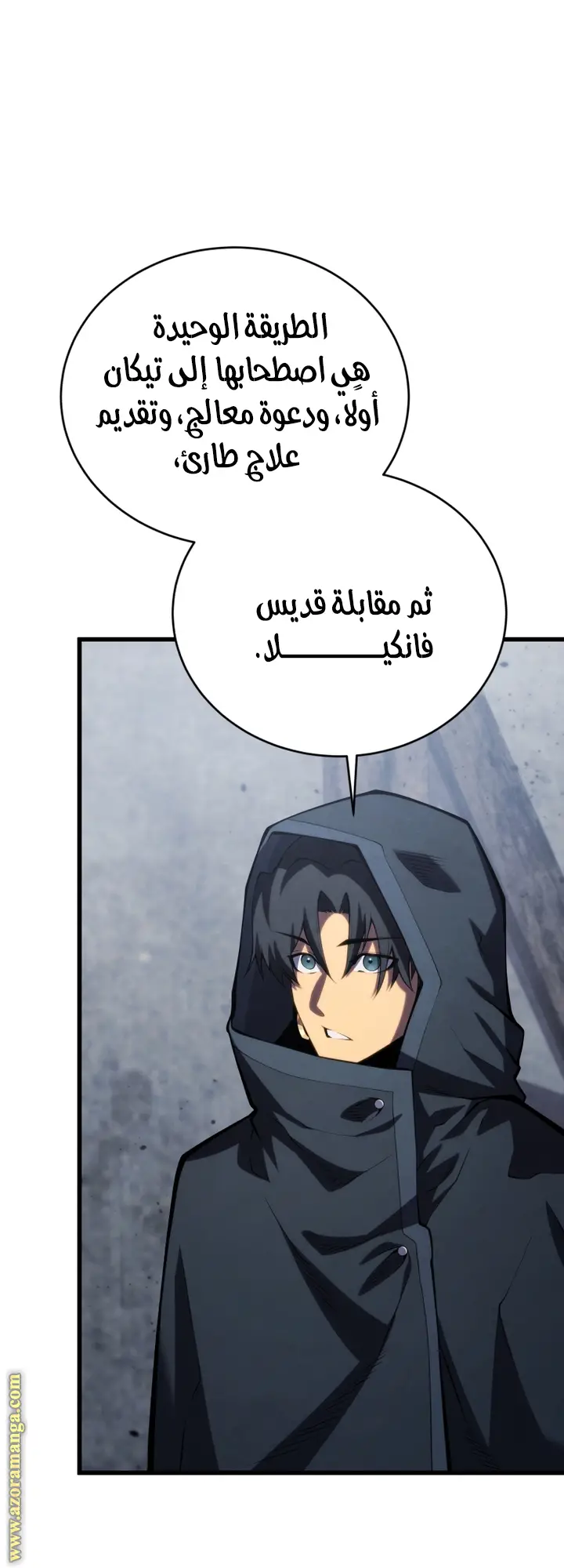 الصفحة 27