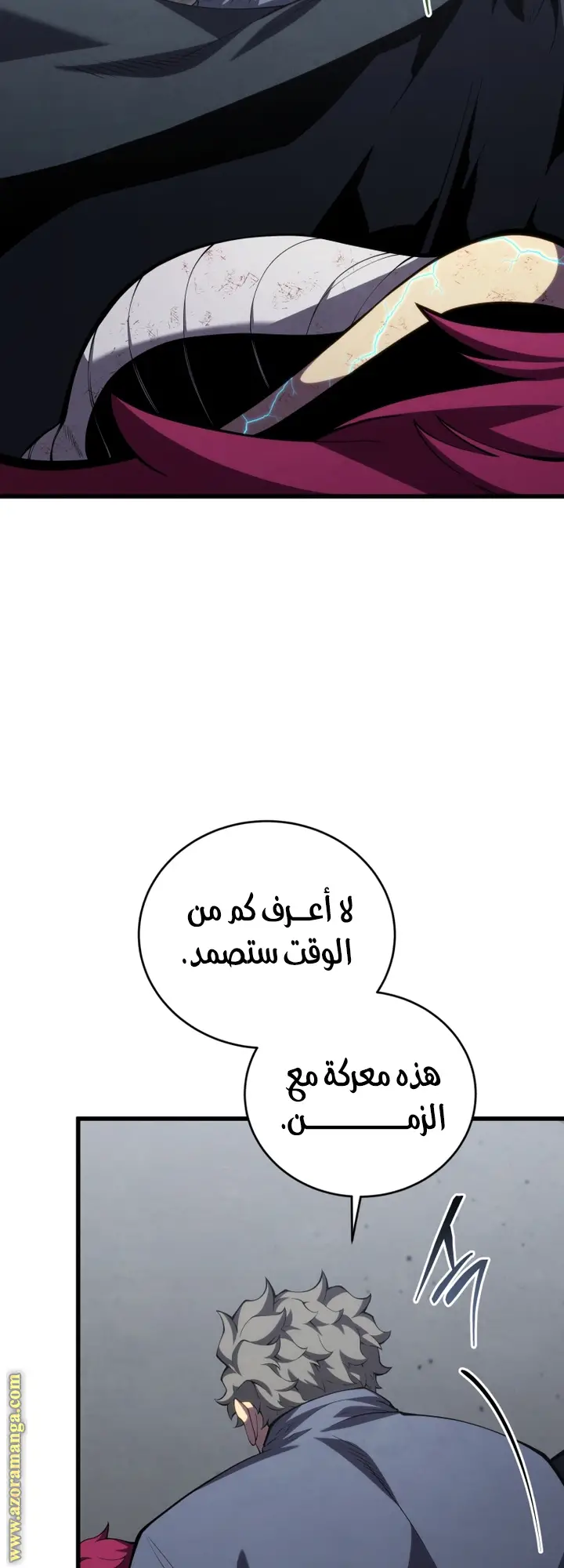 الصفحة 29