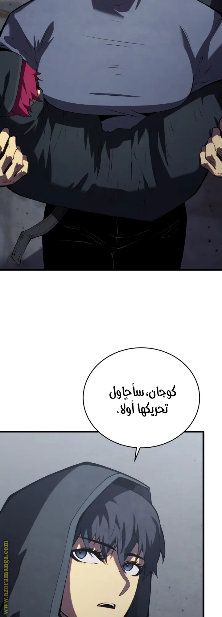 الصفحة 31