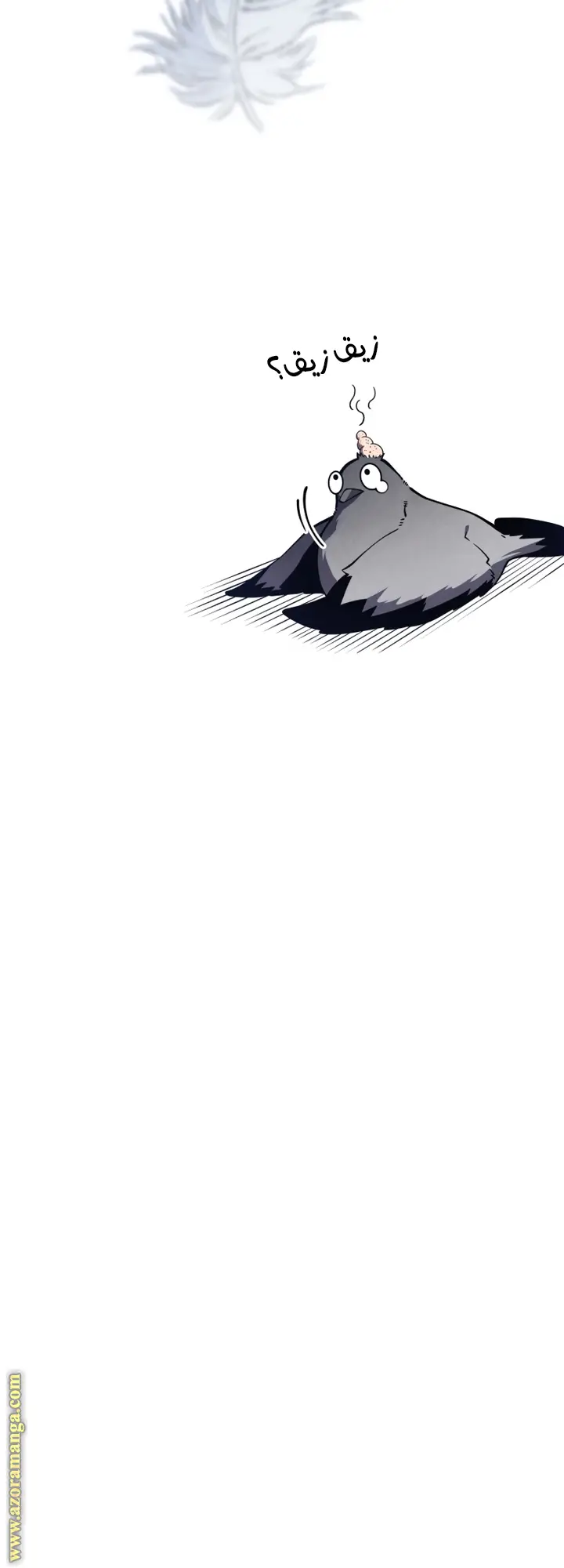 الصفحة 67