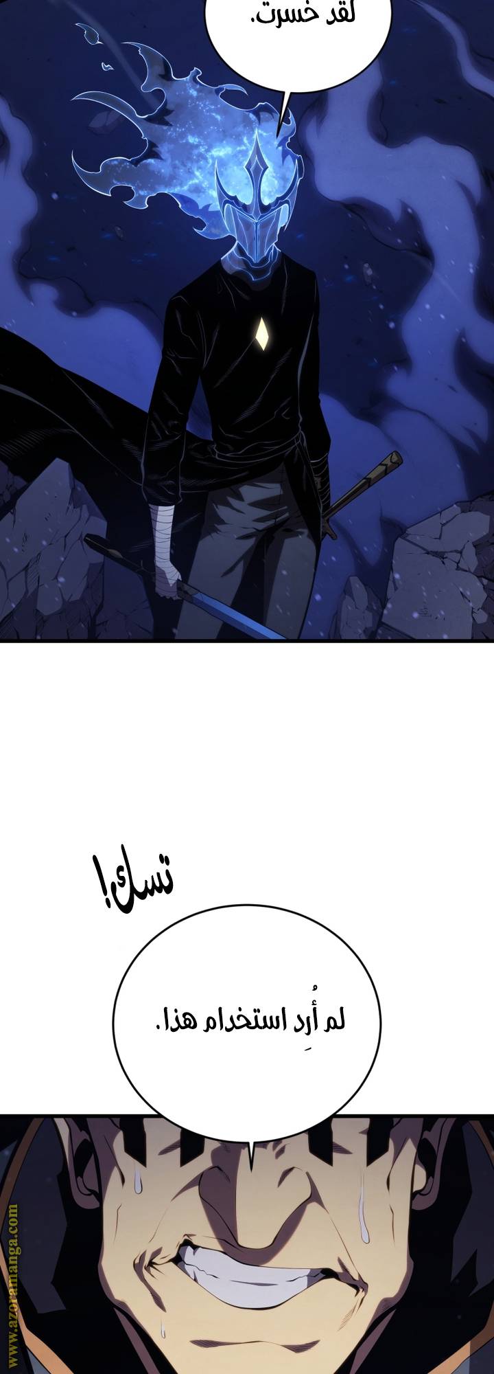 الصفحة 43