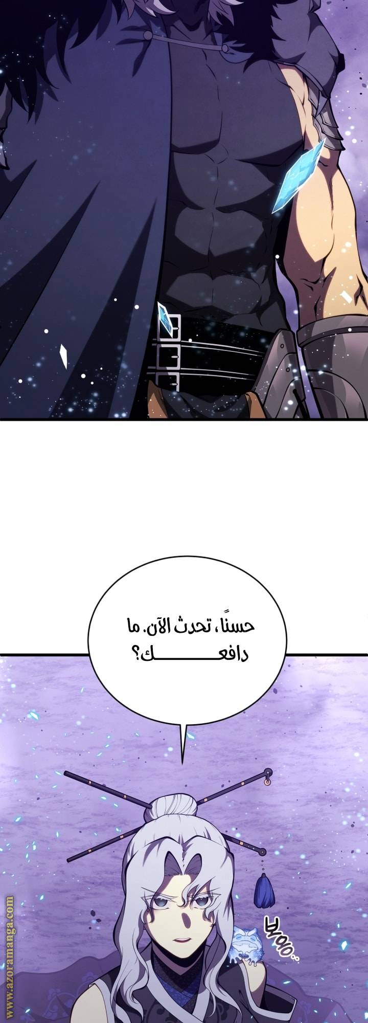 الصفحة 13