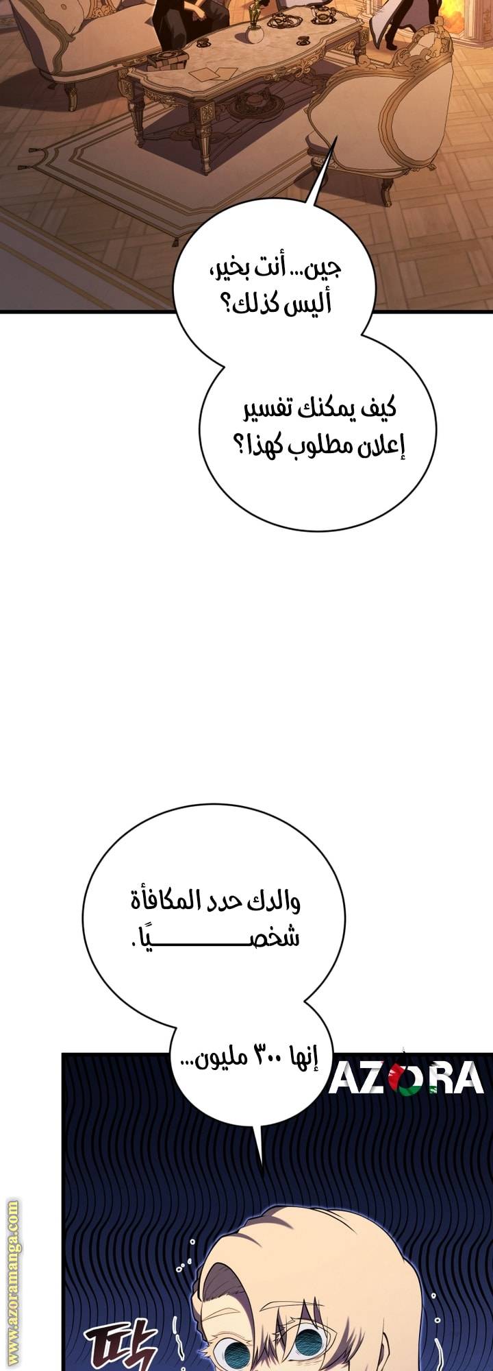 الصفحة 17