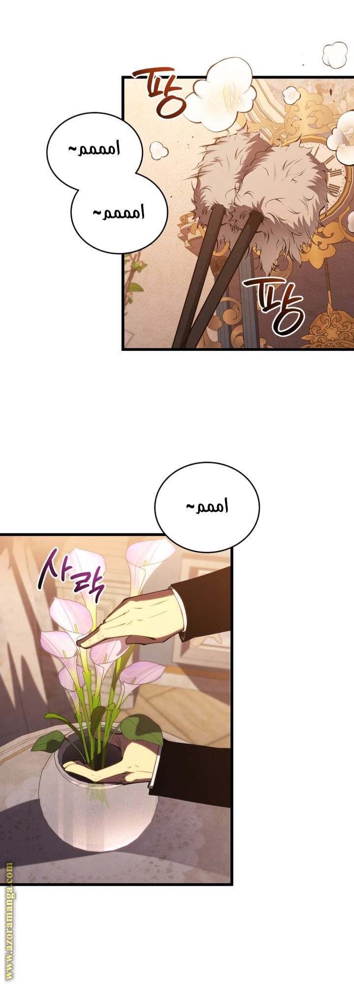 الصفحة 29