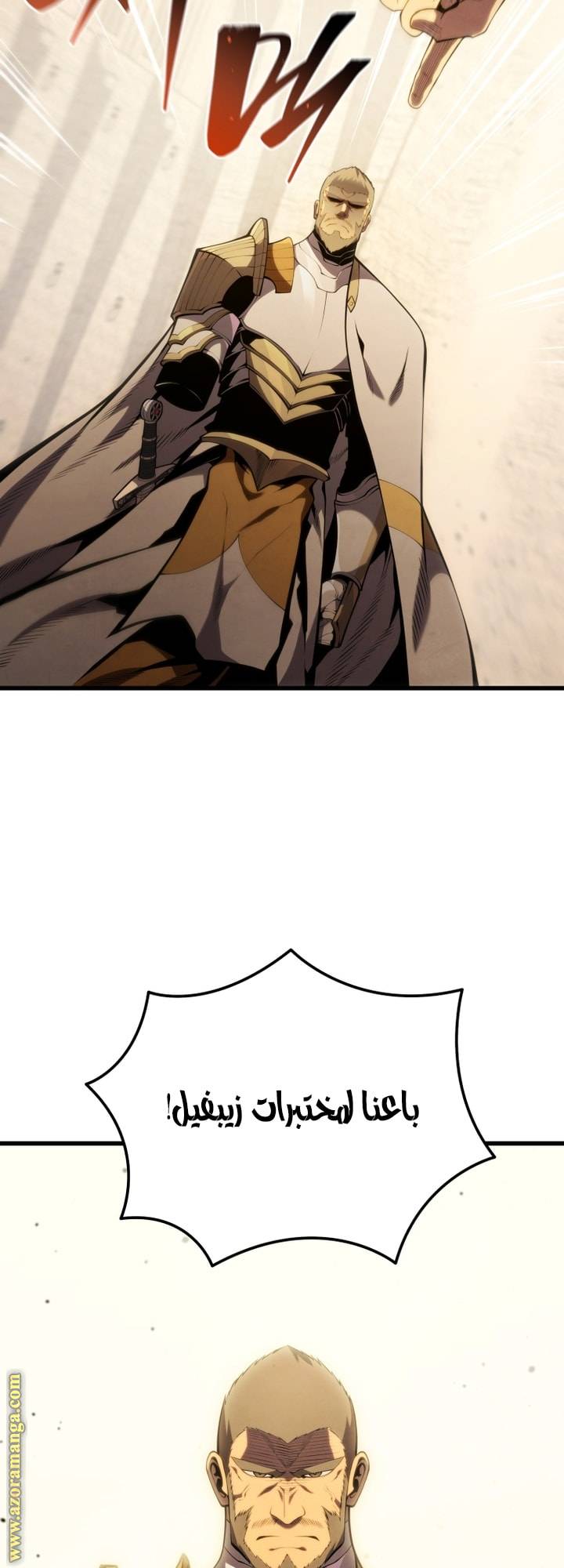 الصفحة 71