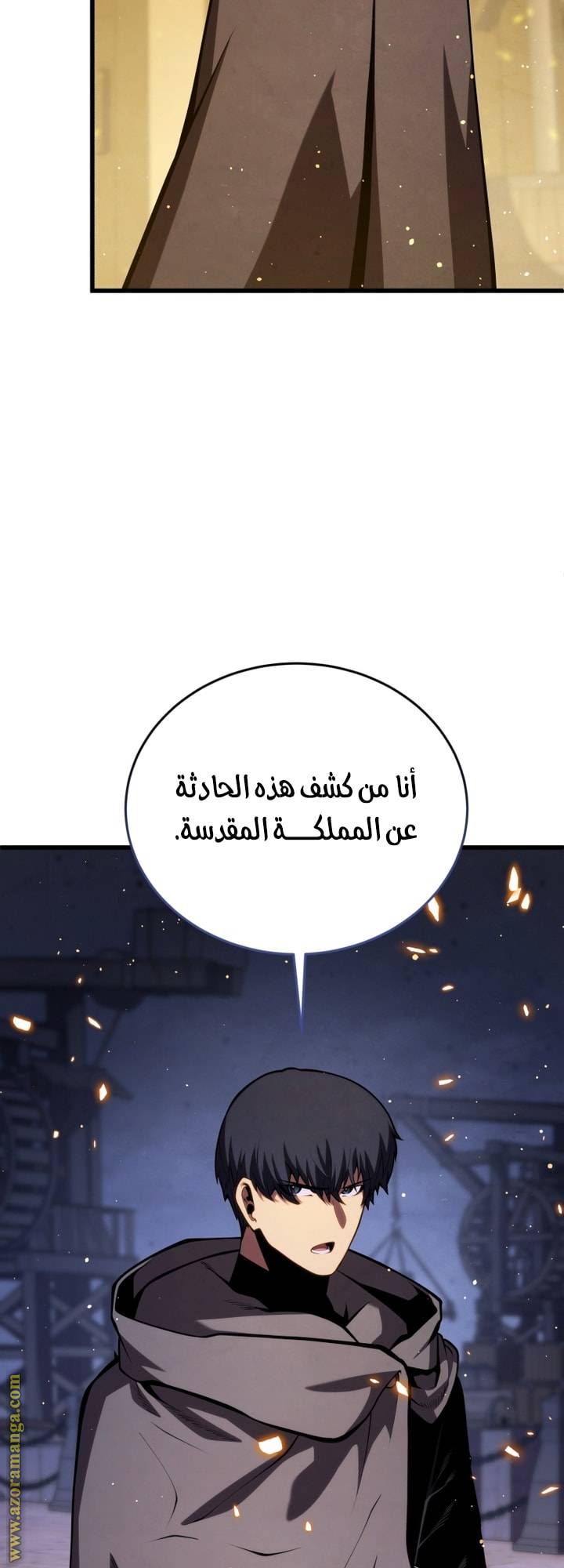 الصفحة 25