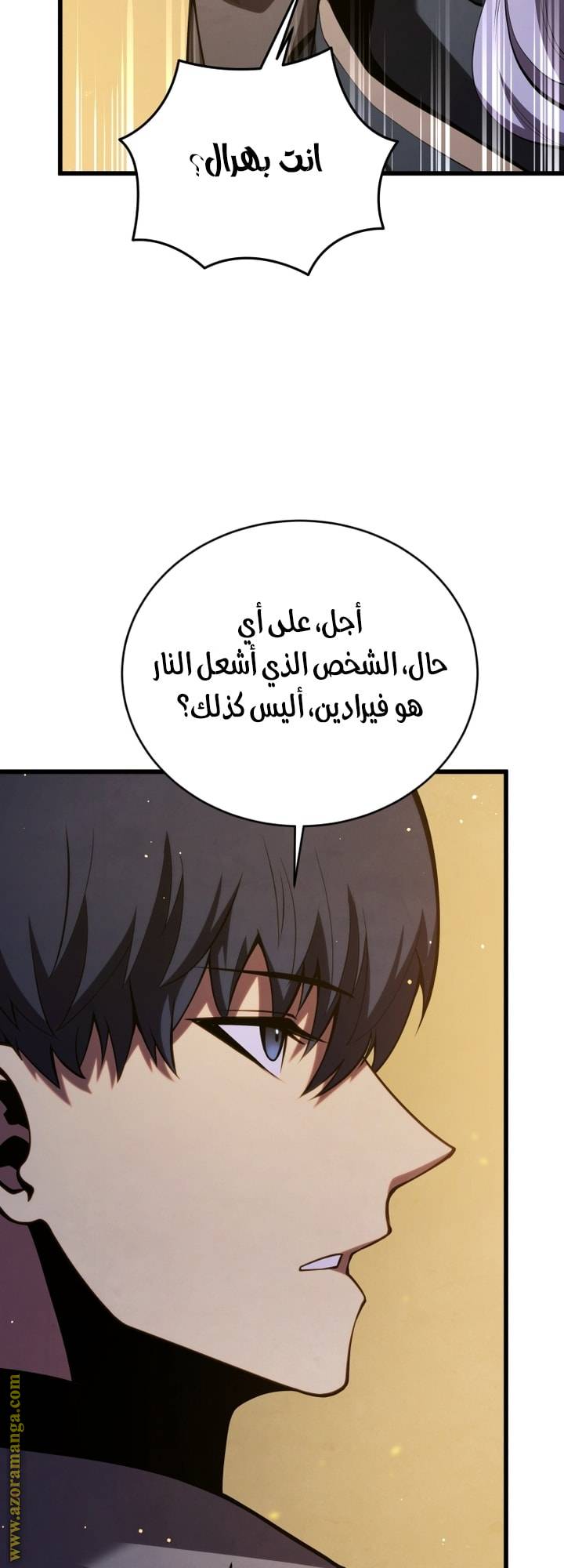 الصفحة 27