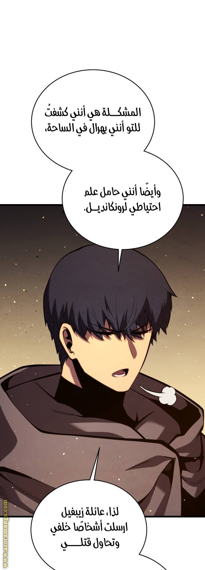 الصفحة 29