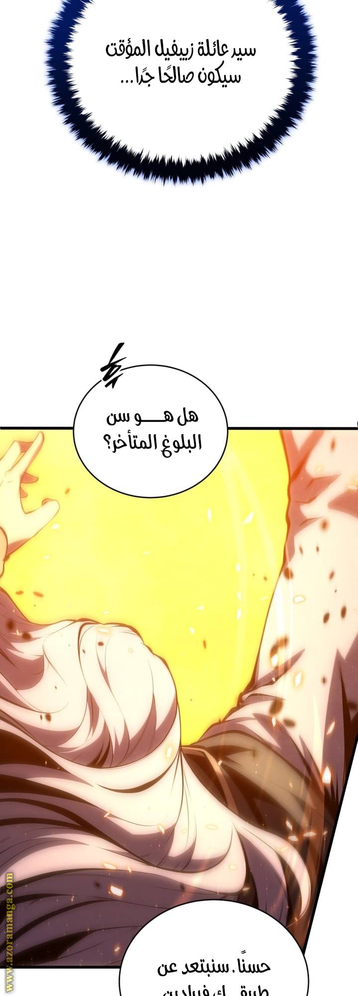الصفحة 43