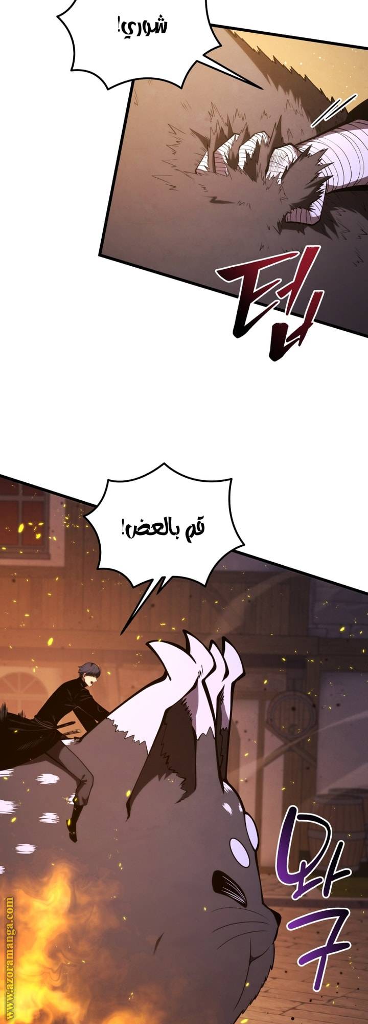 الصفحة 53
