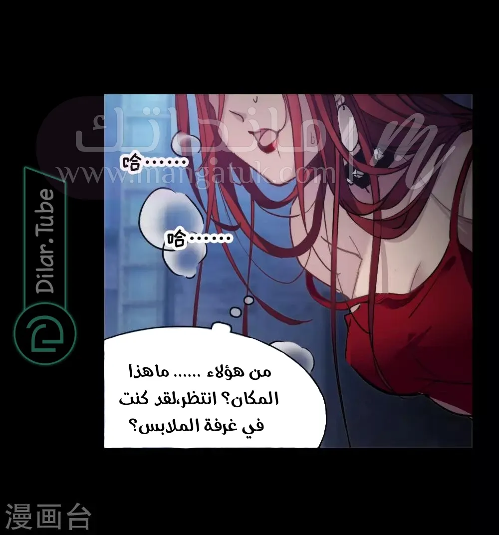 الصفحة 17