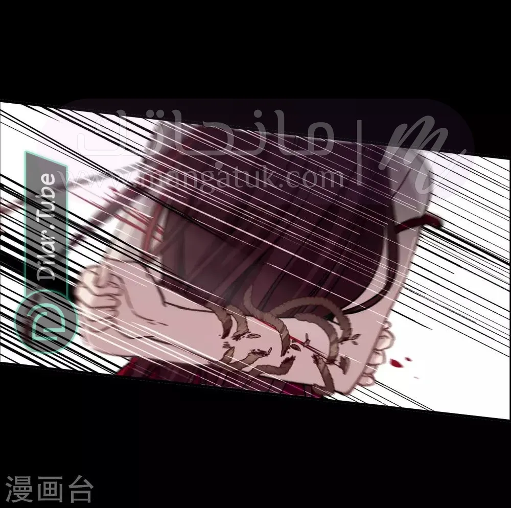 الصفحة 25