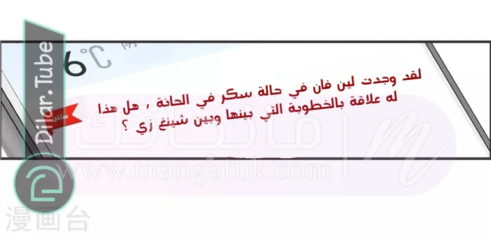 الصفحة 17