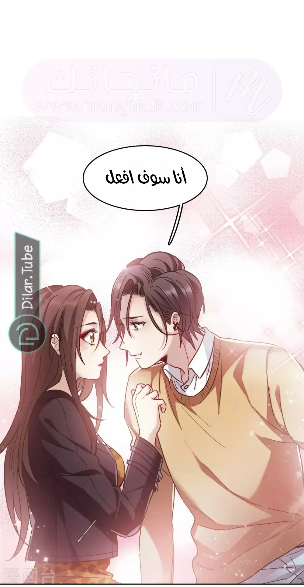الصفحة 13