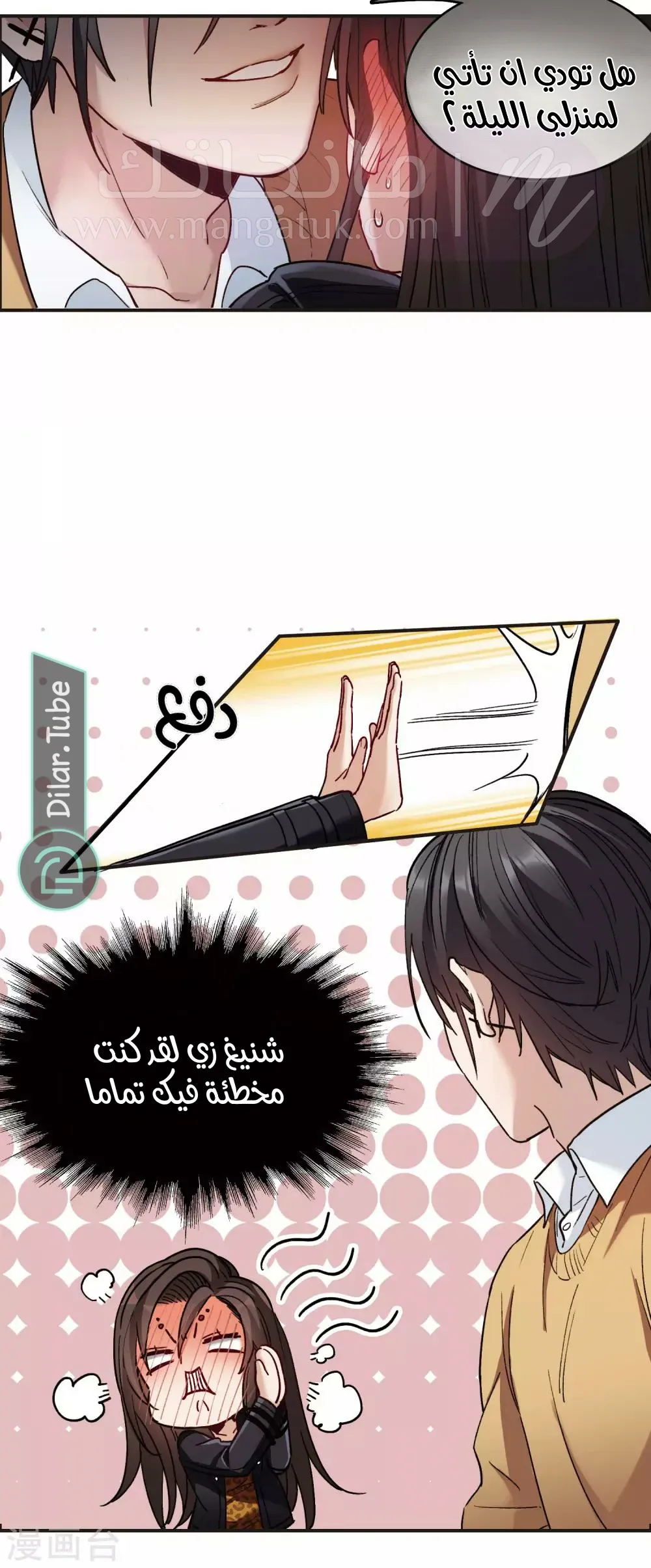 الصفحة 17