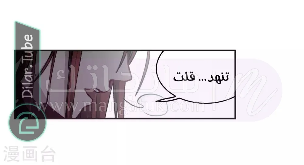 الصفحة 24