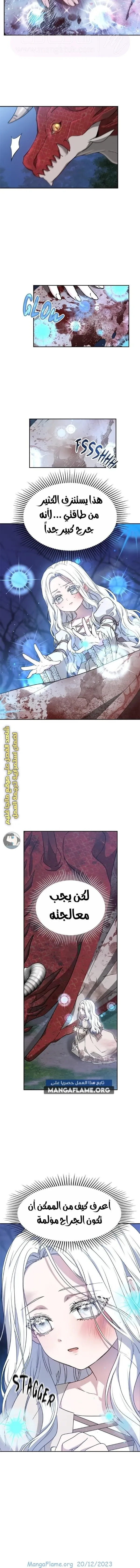 الصفحة 7