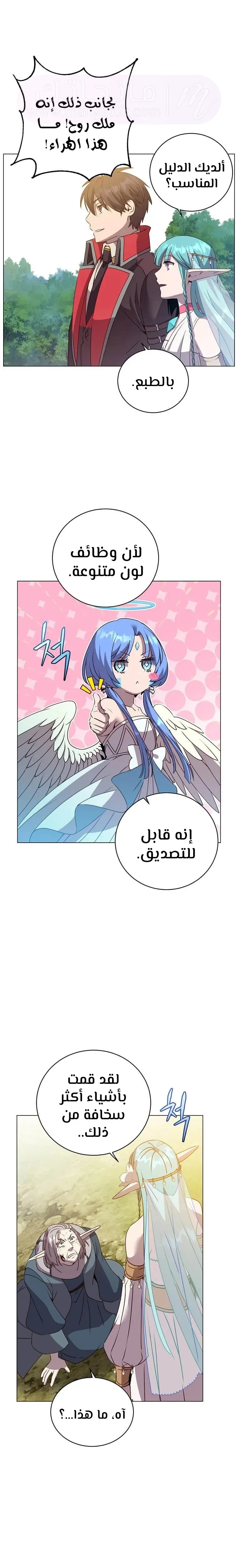 الصفحة 13