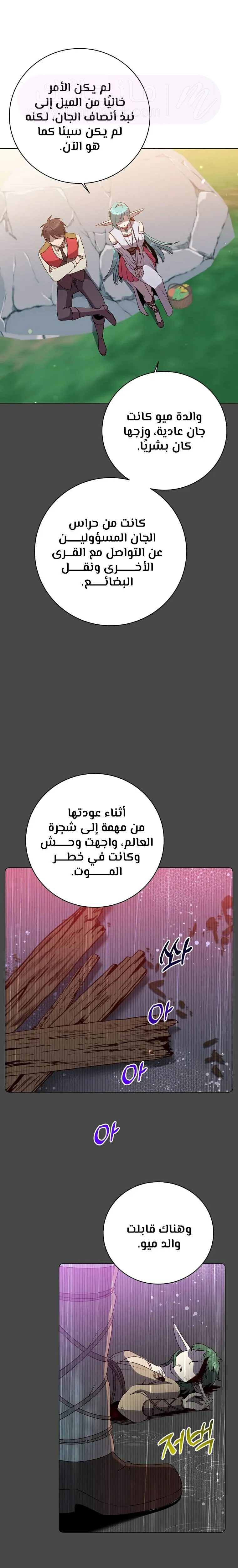 الصفحة 17