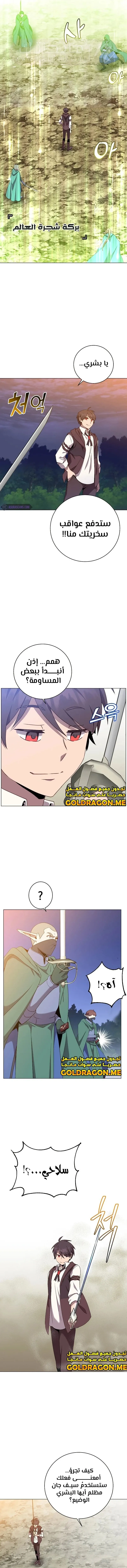 الصفحة 5