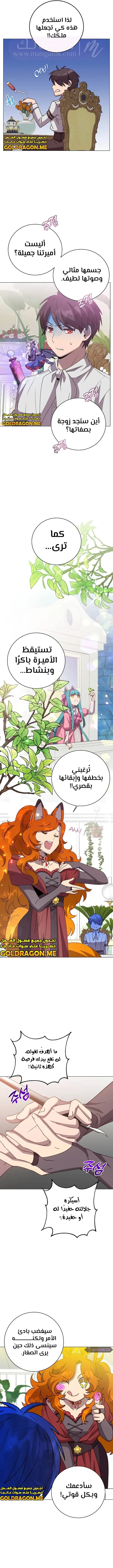 الصفحة 6