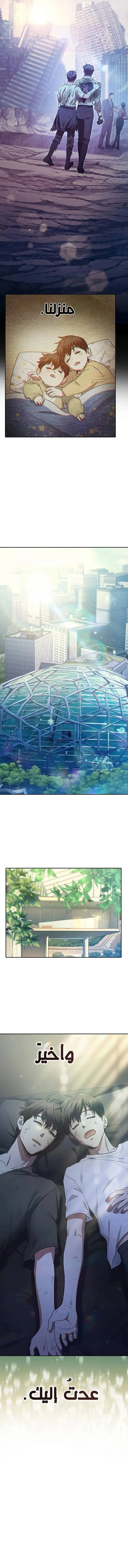 الصفحة 17