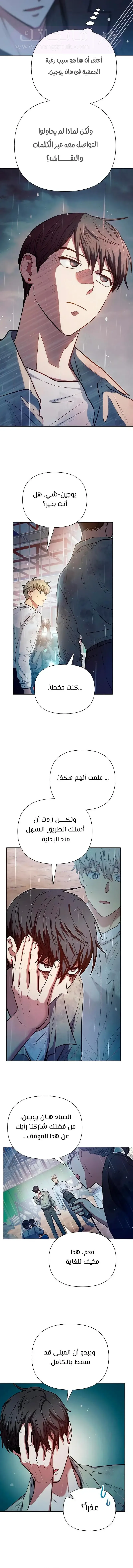 الصفحة 17