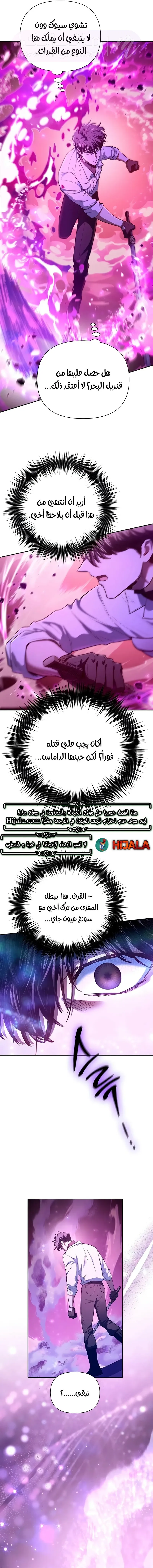 الصفحة 13