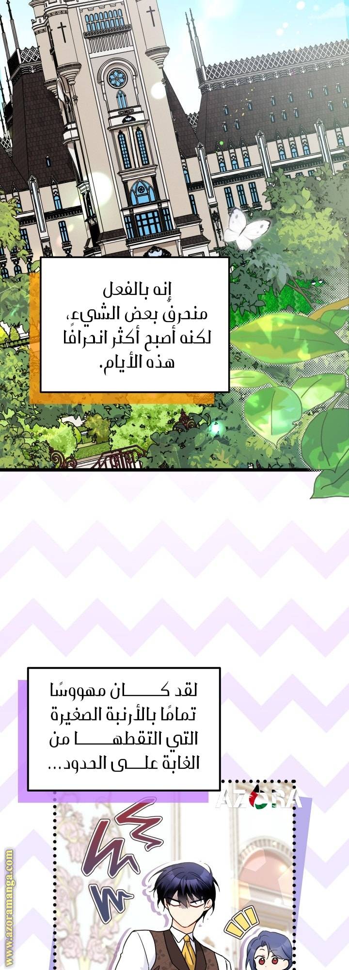 الصفحة 15