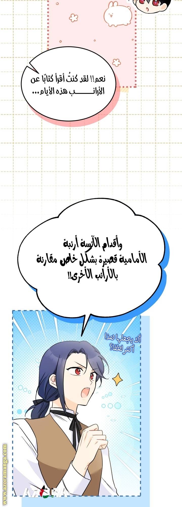 الصفحة 20