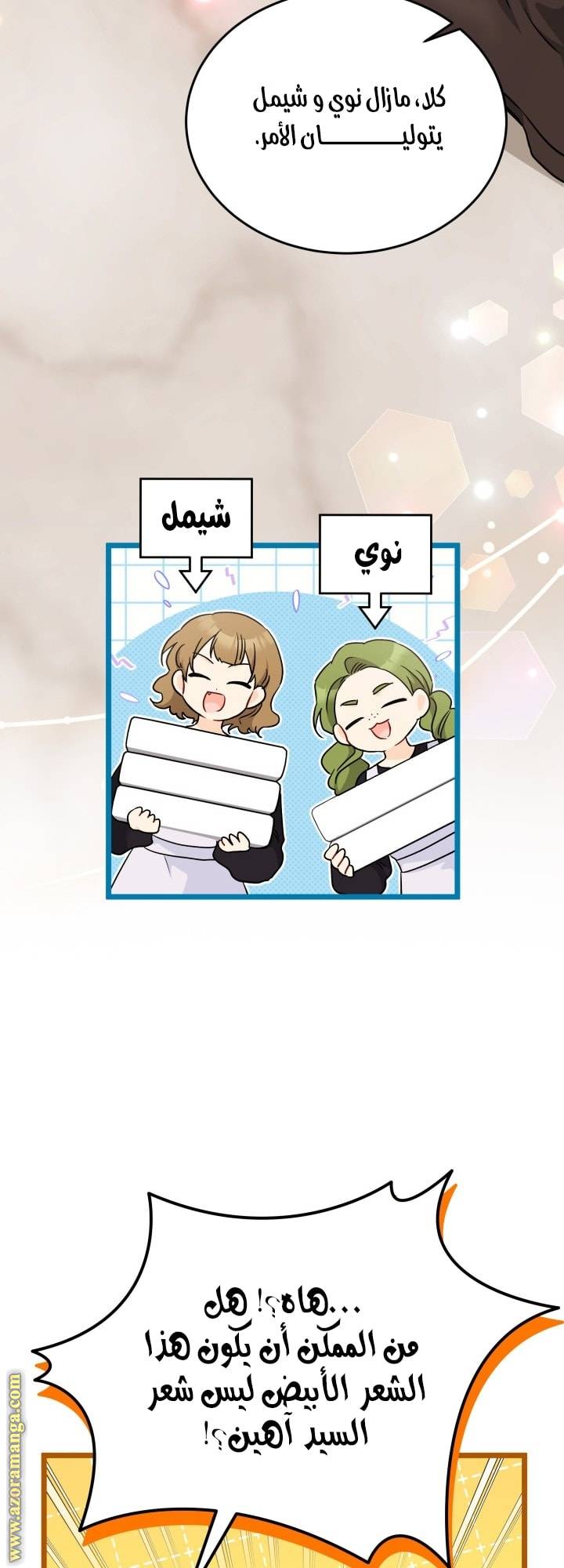الصفحة 23