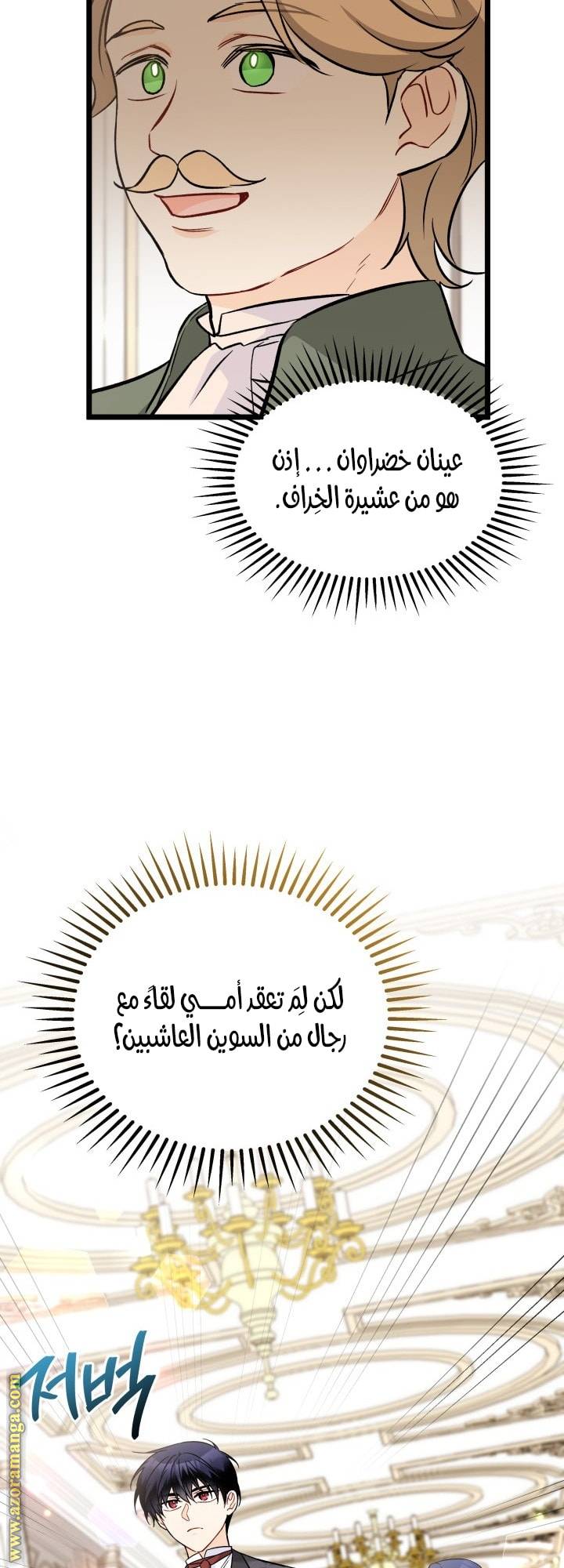 الصفحة 27